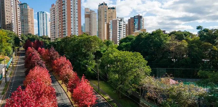 historia-do-ecoville