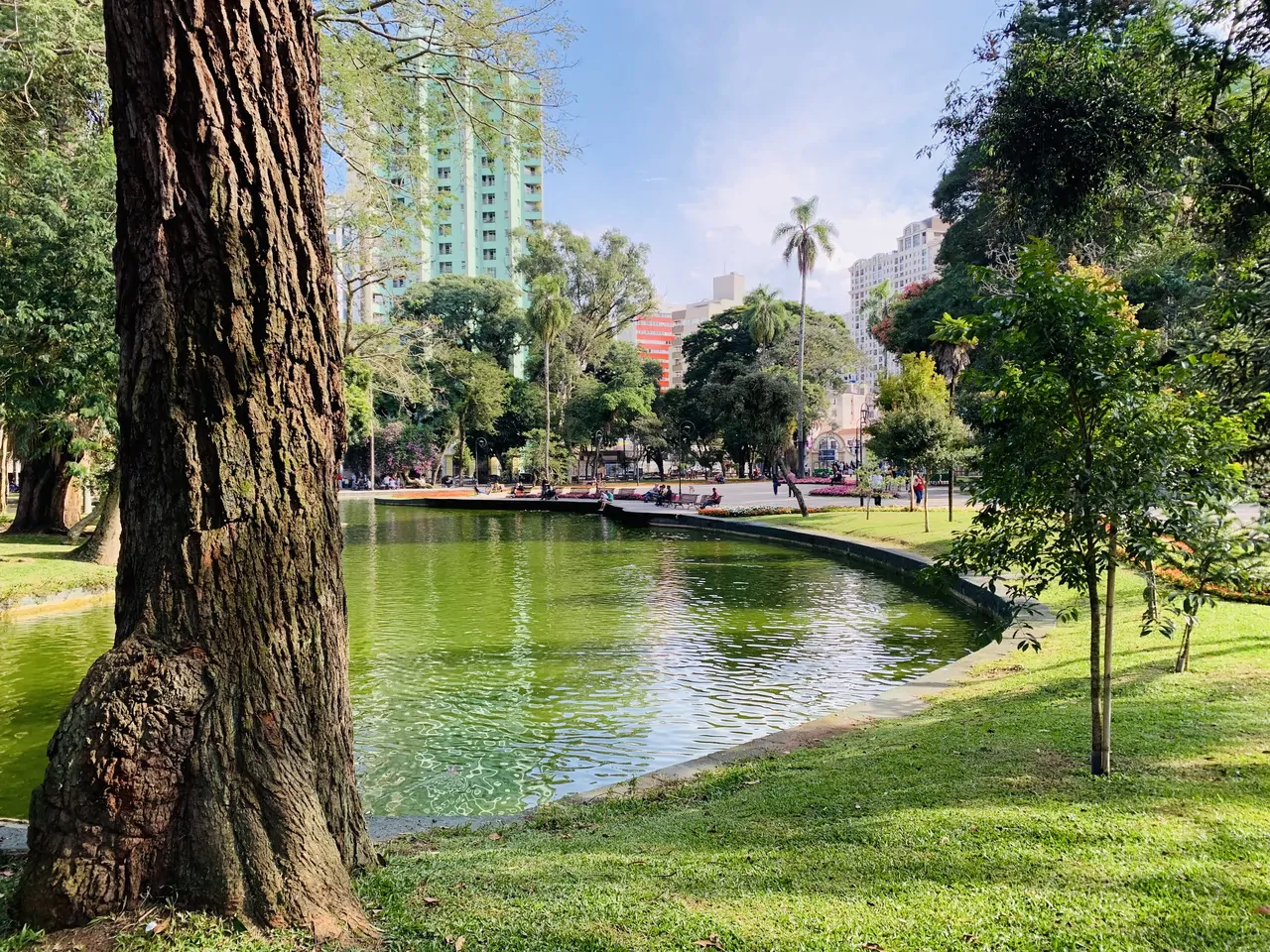 passeio_publico_curitiba_pr-4.webp
